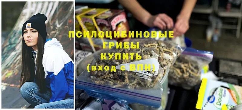 KRAKEN ТОР  купить наркотик  Большой Камень  Галлюциногенные грибы Magic Shrooms 